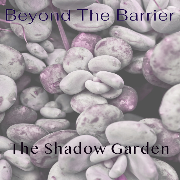 BTB #048 – The Shadow Garden